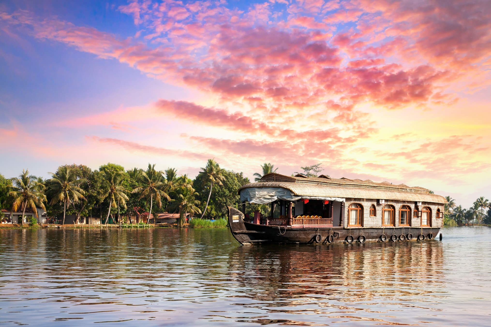 South India Holiday Delight Pro.