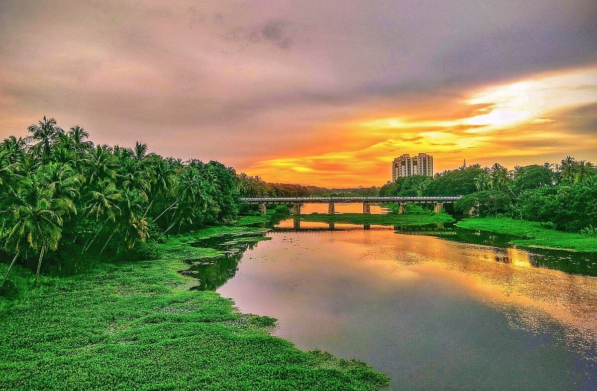 Kochi For Nature Lovers