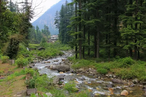 Exotic Jibhi Trip.