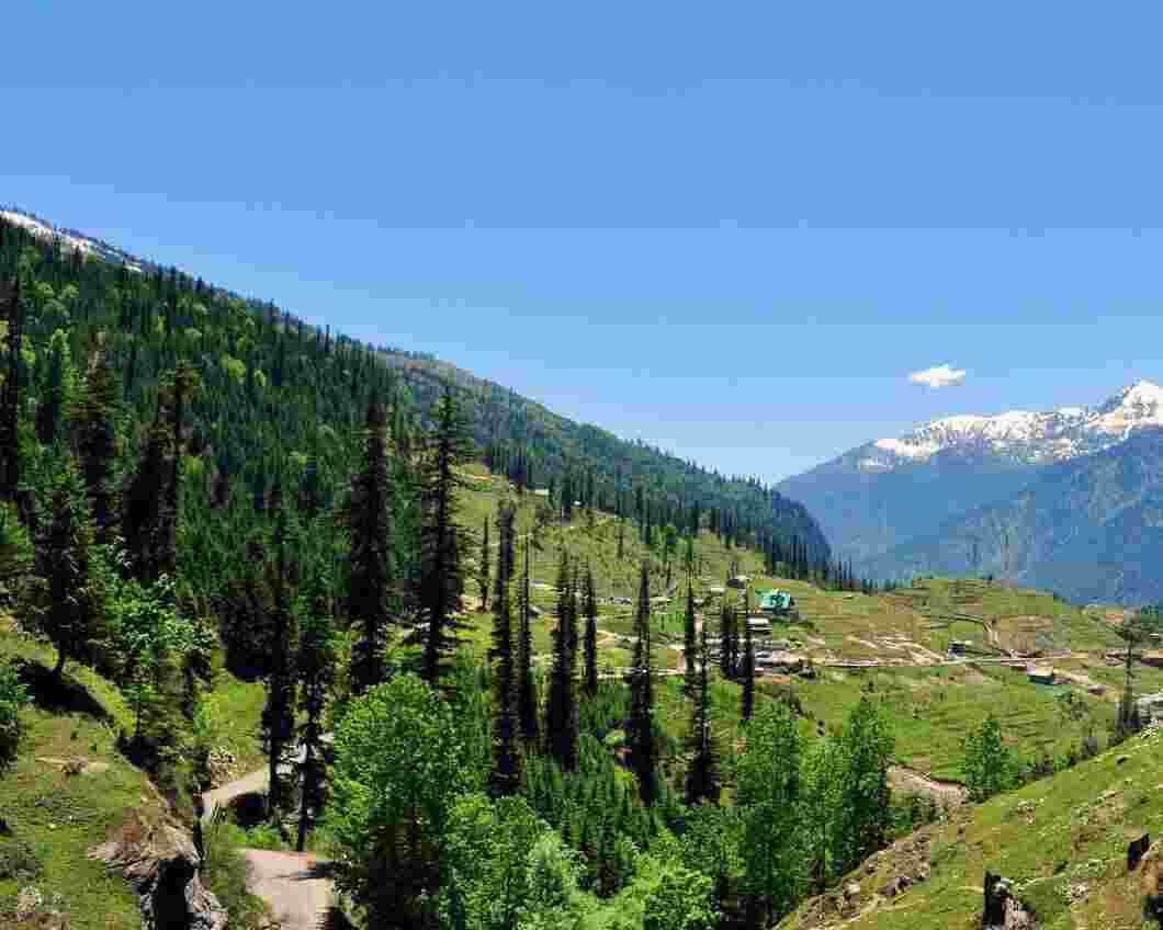 Adventure in Dhanaulti.